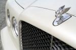 Bentley Brooklands 2009 года (NA)